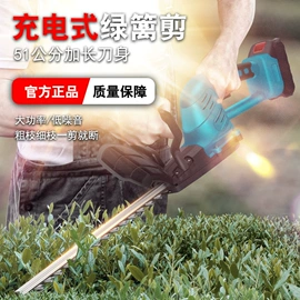 电动吹风机;电剪刀;篱笆剪