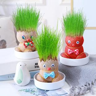Handmade Grass Head Doll Green Plant Desktop Hydroponic Kidsren's Easy-To-Grow Grass Plant Kindergarten Planting Observation Small Potted Plant