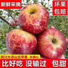 【批发价】凉山丑苹果大凉山冰糖心脆甜红富士新鲜水果10斤包邮