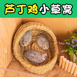 �ݸC�ݾ���B�����u�C�W�^�^��������ů�µ��C�J���u�B���쾰��Ʒ