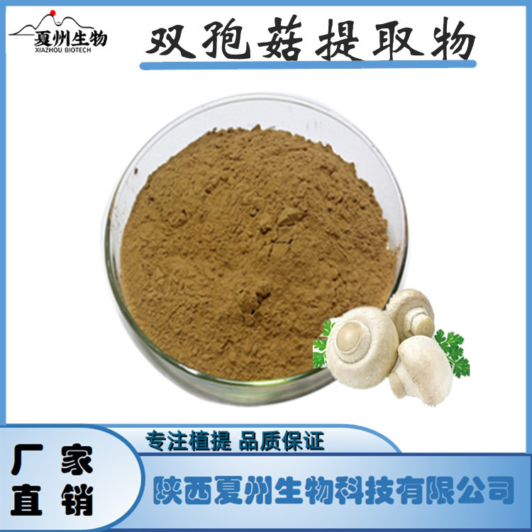 双孢菇提取物10/20/30:1 圆蘑菇 白蘑菇粉 夏州生物