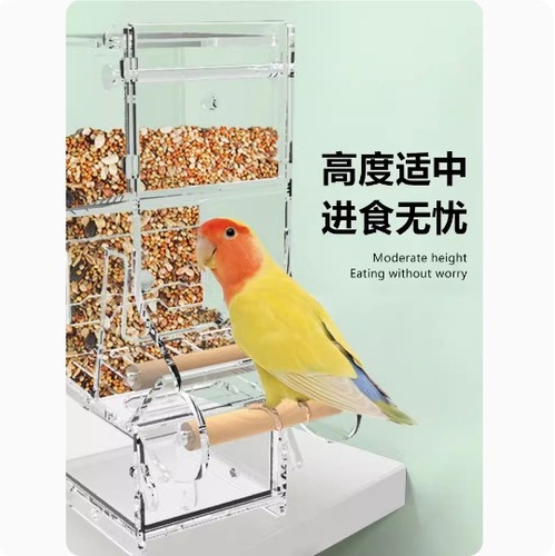 Automatic parrot feeder, bird feeding box, parrot bird supplies, anti-spill and anti-splash parrot feeder