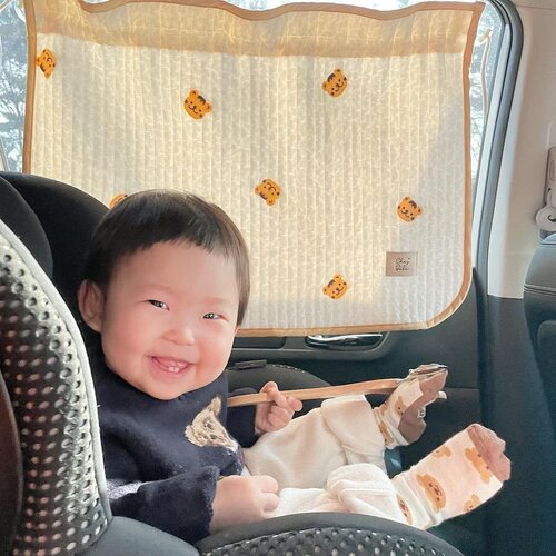 Korean Ins style thickened quilted cotton embroidered curtain bear light blocking heat insulation suction cup universal car sunshade