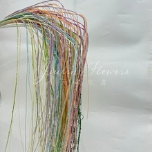 ����Gֲ��ѿ�������l�ٻ����ϻ���֦�l�Gֲ�����b�ǧ�z���l�b�