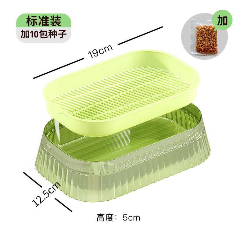 Plantas en maceta para gatos para mascotas transfronterizas, caja de plantación hidropónica sin suelo, plato de cultivo, bocadillos para gatos, menta gatera al por mayor