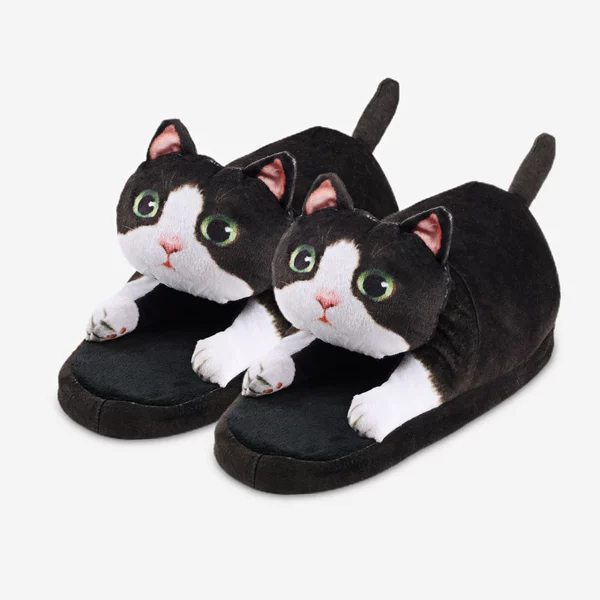Black and white cat