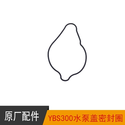 Vehicle Longxin Ybs300 Engine Cooling | Motorcycle engine and accessories - cooling-pump-cover-sealing-ring