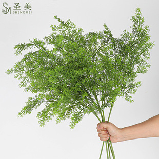 �S�����l�����֧5���ָ�����������ʽ�٘�֦�͏d���P�Ƶ��b�