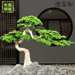 羅漢松假樹室內裝飾仿真迎客松松樹擺件道具迎客松景觀造型仿真樹