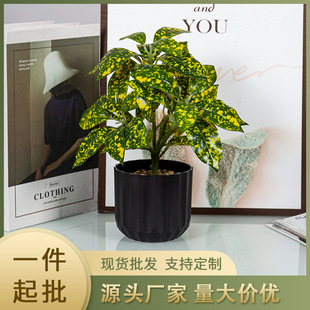 Source Manufacturer Wholesale Environmentally Friendly Material Pp Pot Matte Frosted Surface Imitation Ceramic Plastic Flower Pot Artificial Flower Succulent Pot