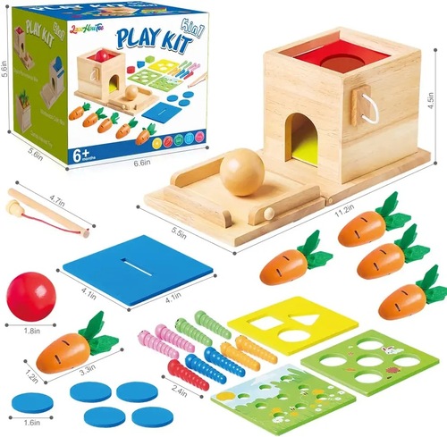 5 in 1 Montessori Wooden Permanent Box Coin Box Pull Carrot Shape Sorter Toddler Learning Toy
