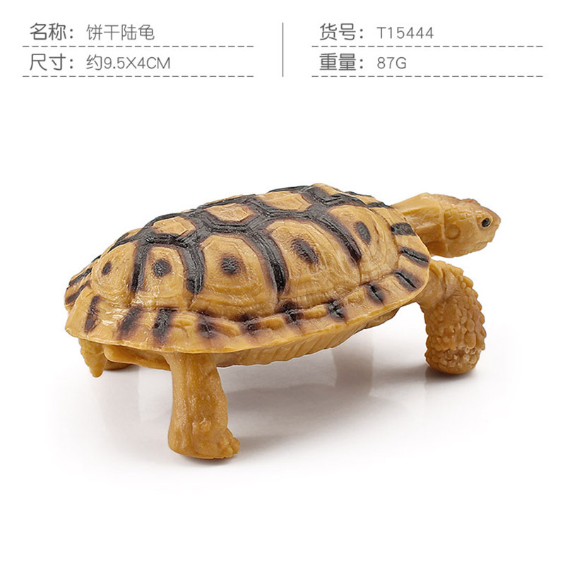 Transfronteriza Nueva simulación anfibio reptil modelo tierra tortuga elefante tortuga estrella tortuga estática decoración cognitiva decoración juguete