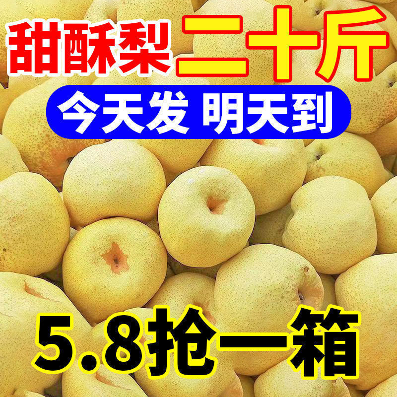 Sweet and Crispy Pears, Seasonal Fresh Fruits, Seasonal Crispy and Sweet Thin-Skinned Yellow Pears, Wholesale Whole Box, Factory Direct Delivery, Cross-Border