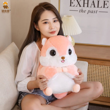 �����ܿɐ۴����w���۴�������ë�q�����ܛ��ż��̖ץ�C���޿羳