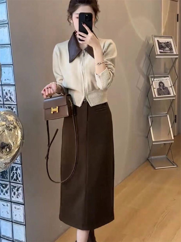 韩系穿搭时尚套装裙秋季显瘦气质减龄拉链针织毛衣半身裙子两件套|undefined