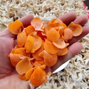 С�S��ؐ ��Ȼ����ؐ�����l�Q�� �ֹ�diy���� �~�����ƴ�D�b�