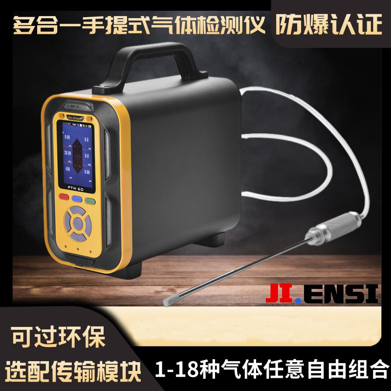 基恩思PTM600-6手提泵吸式六合一有毒有害气体检测仪报警仪测试仪