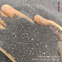 �ɰ ɳ�������ɳ �Fɰ �Cе����ɳ �����������F�Vʯ�Fɰ �F��