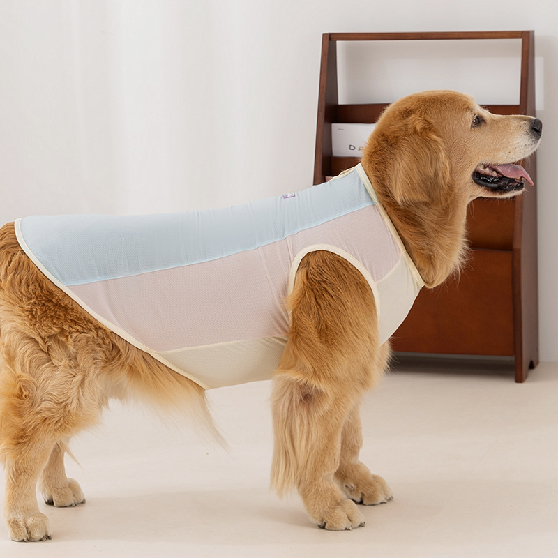 Perro de primavera y verano, perro mediano y grande, macaron, perro mascota, malla, protector solar, chaleco fresco, perro grande, golden retriever, ropa fresca