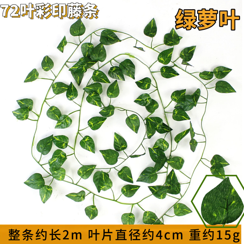 72 lá củ cải xanh-1
