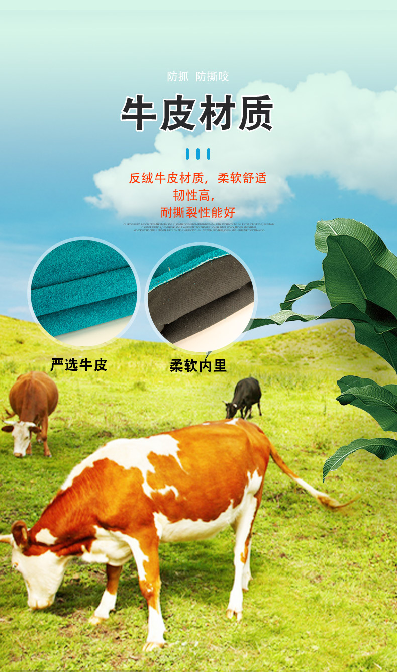 其他2皮-1_02.jpg