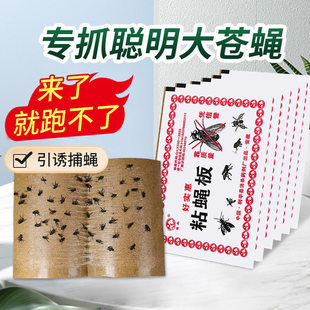 Fly Trap Paper Strong Fly Sticker Fly Board Adhesive Paper Fly Trap Medicine Board Lure Fly Killer Household Fly Extermination Tool