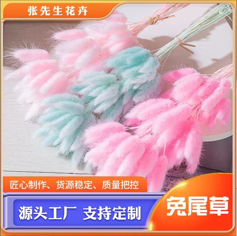 永生兔尾草干花厂家现货批发亚马逊跨境干花田园花束装饰拍摄道具
