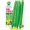 Long fragrant loofah seeds special crispy tender and fragrant meat thick court courtyard garden climbing vine seeds spring vegetable melon fruit seed seeds