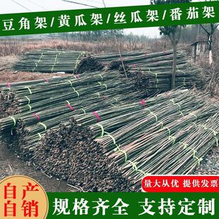 Bamboo Sticks and Poles for Garden Trellis, Climbing Beans, Cucumbers, Tomatoes, Vine Support, Fence, Flagpole, Bamboo Poles, Fruit and Vegetable Support