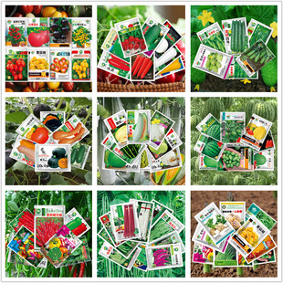 �ļ��߲˷N�����С�[�����S�Ϸ������������������}���ײ��ݴ�ȫ