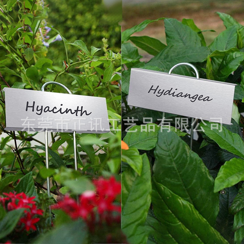 金属植物标识牌-5.jpg