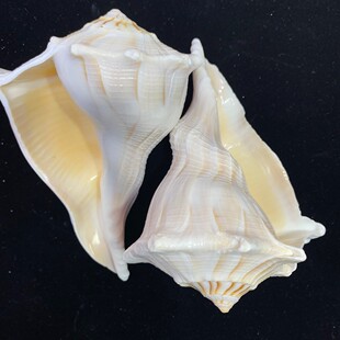 10-15���������� �������� ����� ��Ȼ���ݔ[��