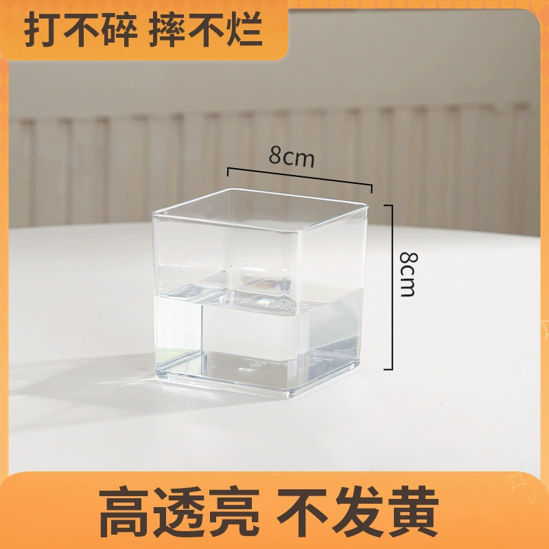 Transparent Square Hydroponic Vase, Desktop Shatterproof Planter, Multiple Sizes (8–30 cm)