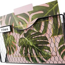 �羳�����Fˇ�ڒ��ɫ�ļ����k����Ʒ�ļ��A�Y���ռ{�ļ��ܱڒ�ʽ