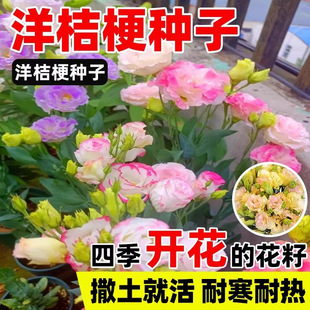 ��۹��廨�r�����ֱ�lֱ��������������ˮ�B�����󼪹����۹���