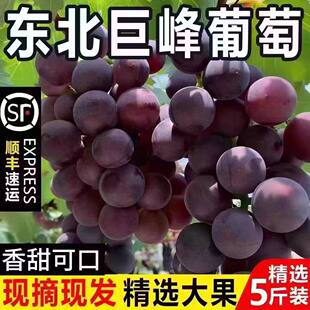 ��S�Fժ�޷����і|���|�����rˮ��5�����䮔������ЋD����o��