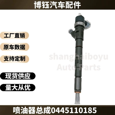 new common rail – Oil pump, nozzle