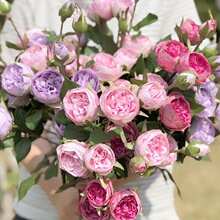 ���W���������@���ܚWʽ�¼��͹Ÿ߷���5�^��ʽ��Ц�������@����