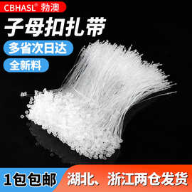 子母扣尼龙扎带尖头圆头吊牌线塑料透明绳线一次性标牌线透明扎带