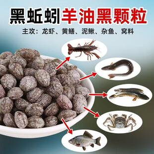 ��������ͺ��w���r�\���~�W�\�S�X�T�Dץ���r���r���q�S�X�~�D��