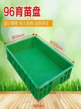 �Ӻ�����Pѿ��P�Nֲ�P��ѿ��ˮ��ѿ��˟o������Nֲ�P�S��
