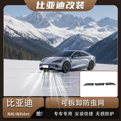 BYD Seal anti-insect Automobile anti-insect net