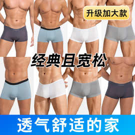 一件代发纯棉一次性内裤男士平角款旅游独立包装便携四角日抛短裤