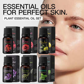KORMESIC植物玫瑰薄荷身体精油essential oil 跨境外贸厂家批发