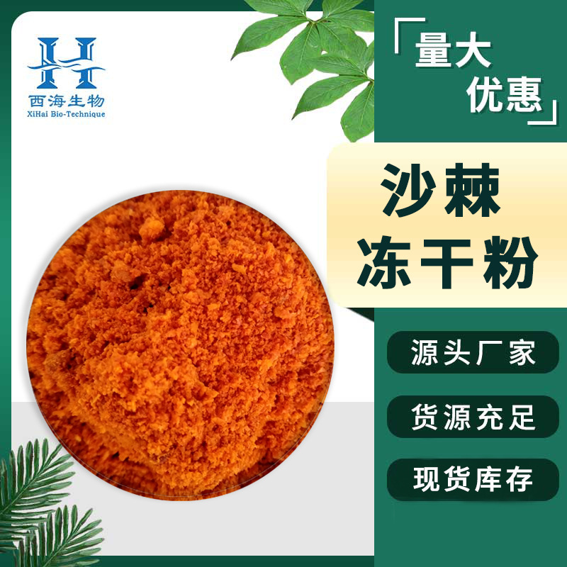 99%沙棘冻干粉 食品级沙棘提取物冷冻萃取富含维C现货沙棘冻干粉
