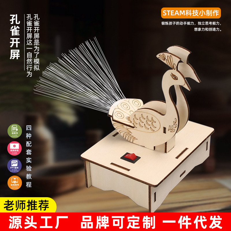 Science and education cutting-edge teaching aids DIY optical fiber lamp peacock screen science experiment children students toys science and technology small production