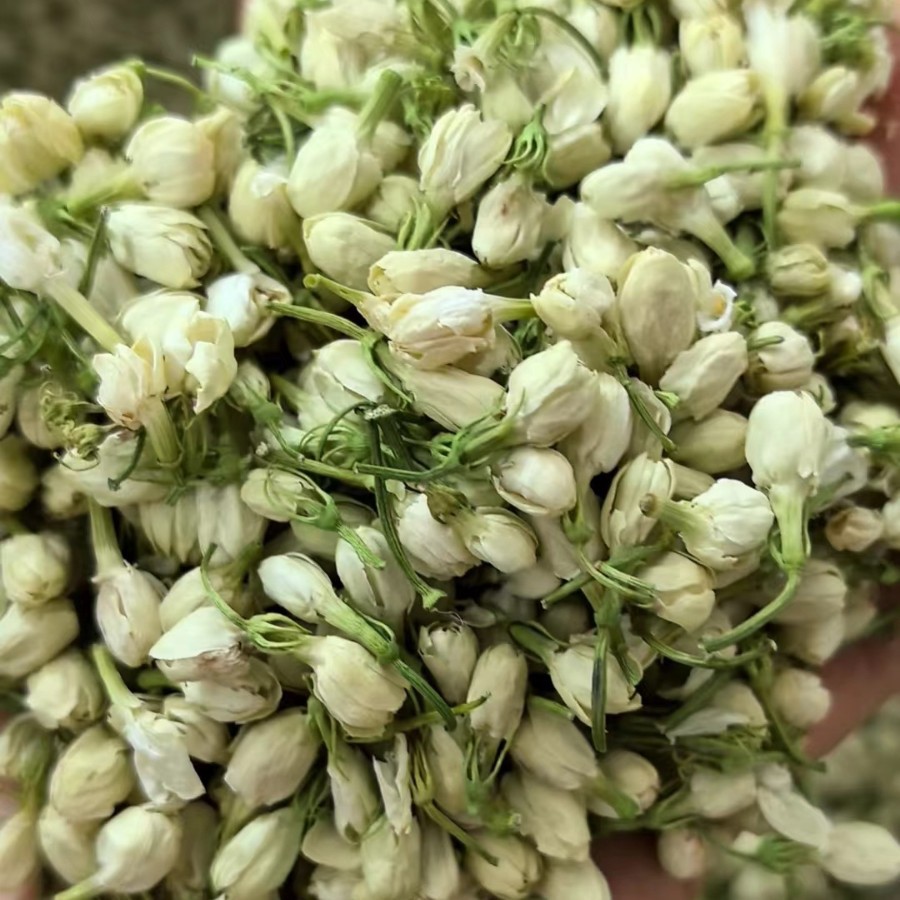 茉莉小花蕾散装花草茶干 新鲜茉莉花茶批发，广西横县三湘花干厂