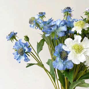 ��ꖷ��滨 �{�軨 ��ʽ��Ȼϵ���x�� ���»�ˇ �廨�b��߻�