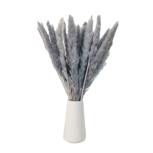 Dried Flower Small Reed INS Nordic Style Advanced Grey Decoration Soft Wool Dust Wedding Shooting Cross-border Supply Dried Flower Batch