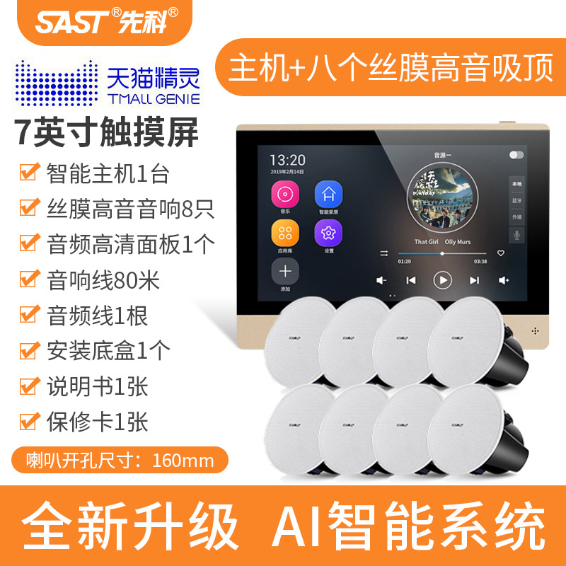 [내장 Tmall Elf] 호스트 + 실크 필름 트위터 천장 스피커 8개